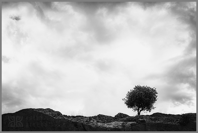 � Kalli Bellou / www.kallibellou.com